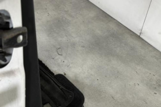 Porte arriere droit CITROEN C3 3