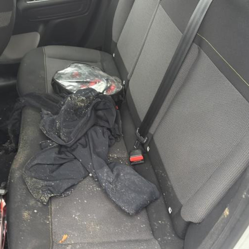 Porte arriere droit CITROEN C3 3 Photo n°19