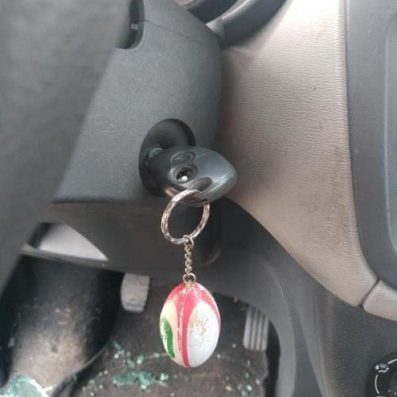 Bouton de warning DACIA DOKKER Photo n°12