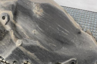 Pare boue avant droit RENAULT SCENIC 2