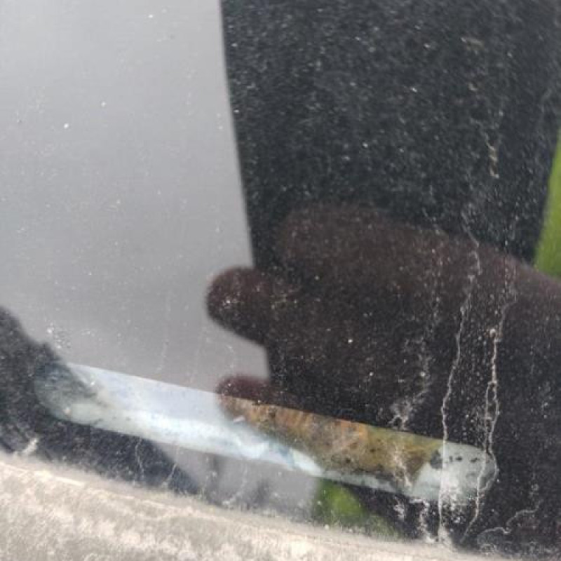 Pare boue avant droit RENAULT SCENIC 2 Photo n°8