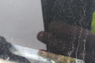 Pare boue avant droit RENAULT SCENIC 2