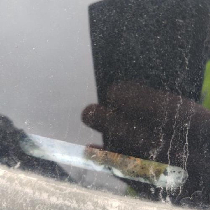 Pare boue avant droit RENAULT SCENIC 2 Photo n°11