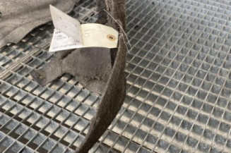 Pare boue arriere gauche FORD FIESTA 6