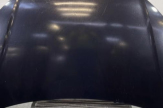 Capot VOLKSWAGEN POLO 4 Photo n°1