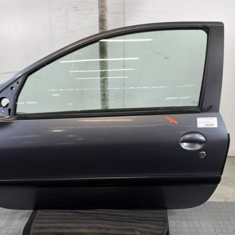 Porte avant gauche PEUGEOT 206+ Photo n°1