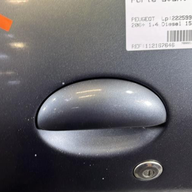 Porte avant gauche PEUGEOT 206+ Photo n°2