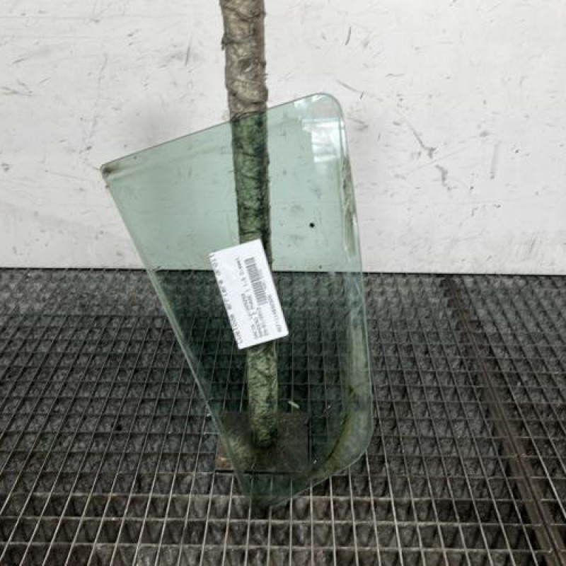 Custode arriere droit (porte) DACIA SANDERO 2 Photo n°4