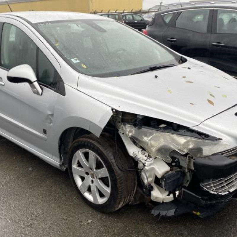 Custode avant droit (porte) PEUGEOT 308 1 Photo n°6