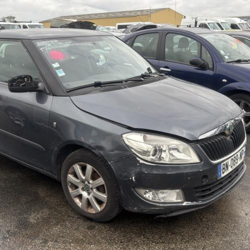 Calandre SKODA FABIA 2 Photo n°6