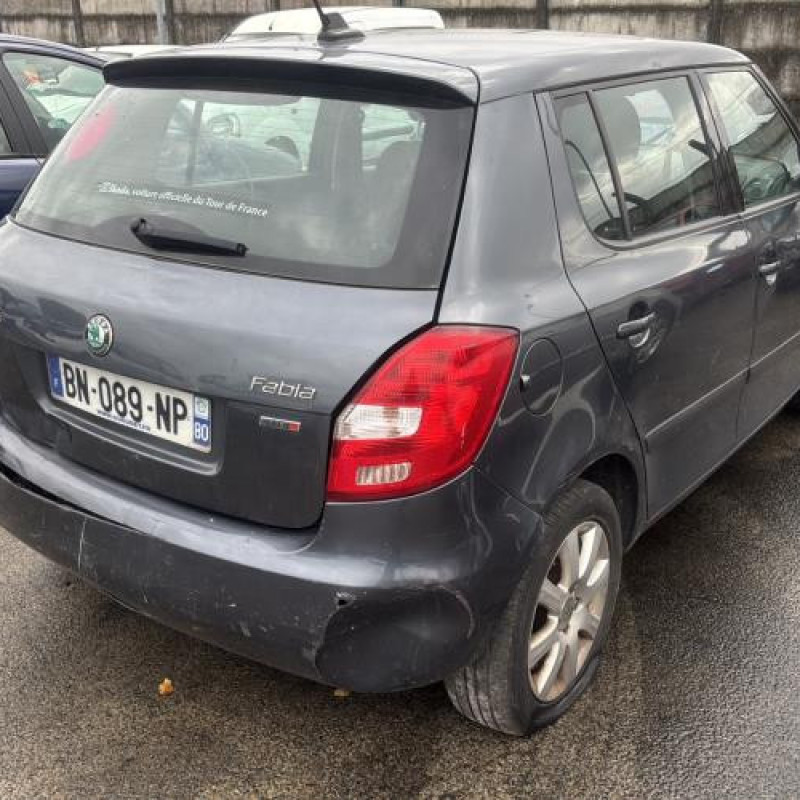 Calandre SKODA FABIA 2 Photo n°7