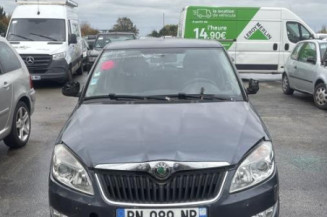Porte arriere droit SKODA FABIA 2
