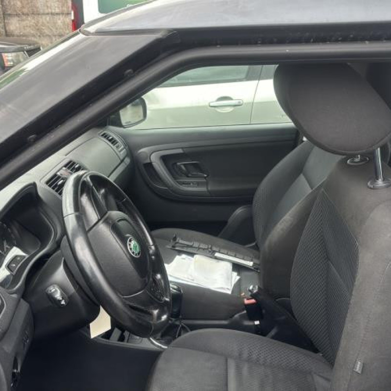 Porte arriere droit SKODA FABIA 2 Photo n°14