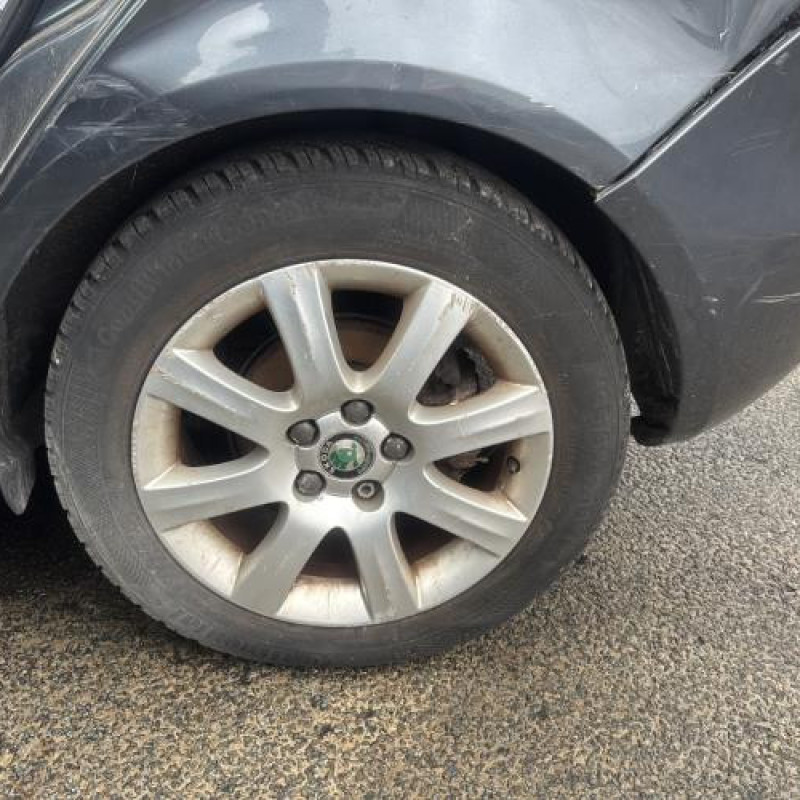 Porte arriere droit SKODA FABIA 2 Photo n°15