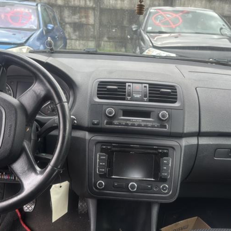 Porte arriere droit SKODA FABIA 2 Photo n°18