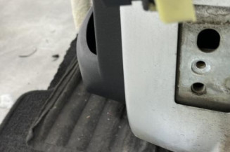 Porte arriere gauche PEUGEOT 207