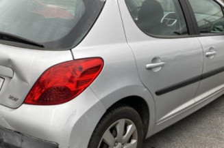 Porte arriere gauche PEUGEOT 207