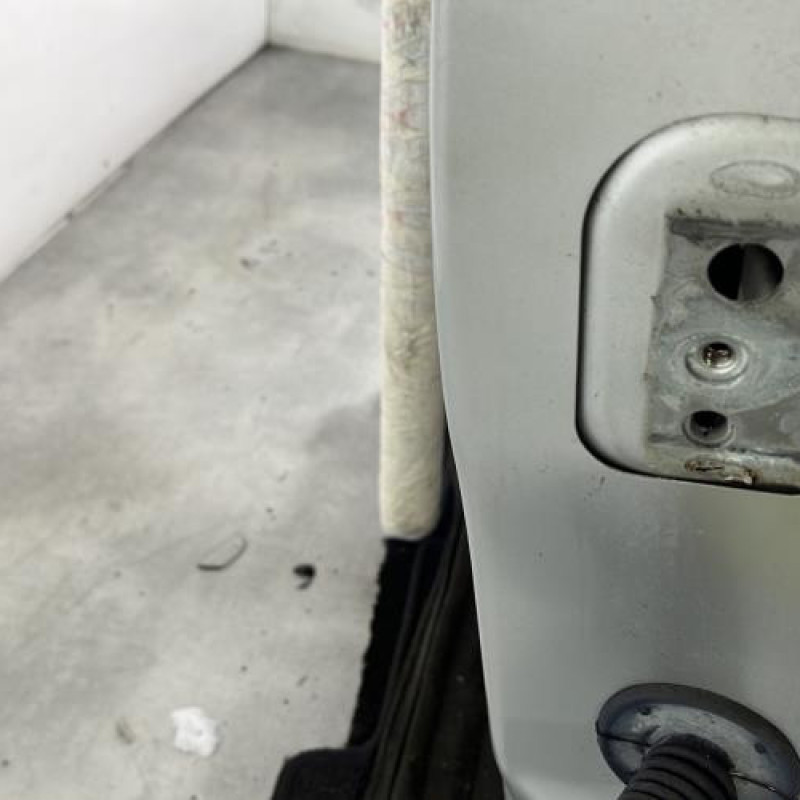 Porte avant gauche PEUGEOT 207 Photo n°2