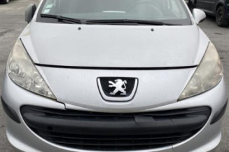 Porte avant gauche PEUGEOT 207