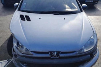 Pare boue avant gauche PEUGEOT 206