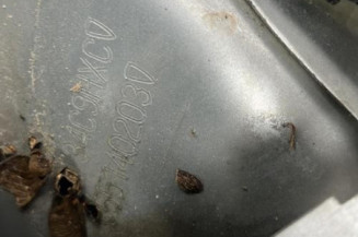 Pare boue avant gauche PEUGEOT 308 1