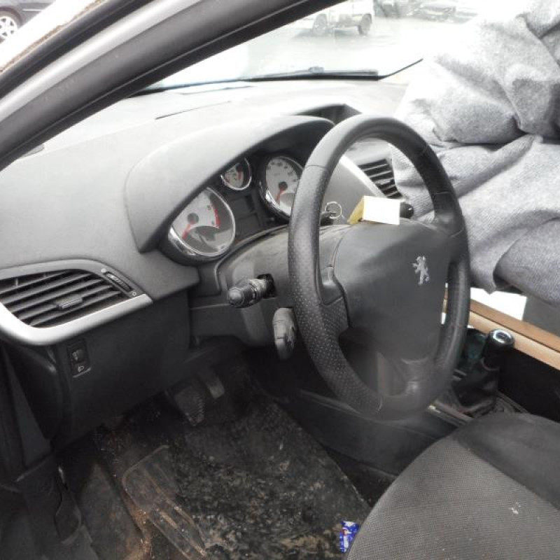Porte avant droit PEUGEOT 207 Photo n°8