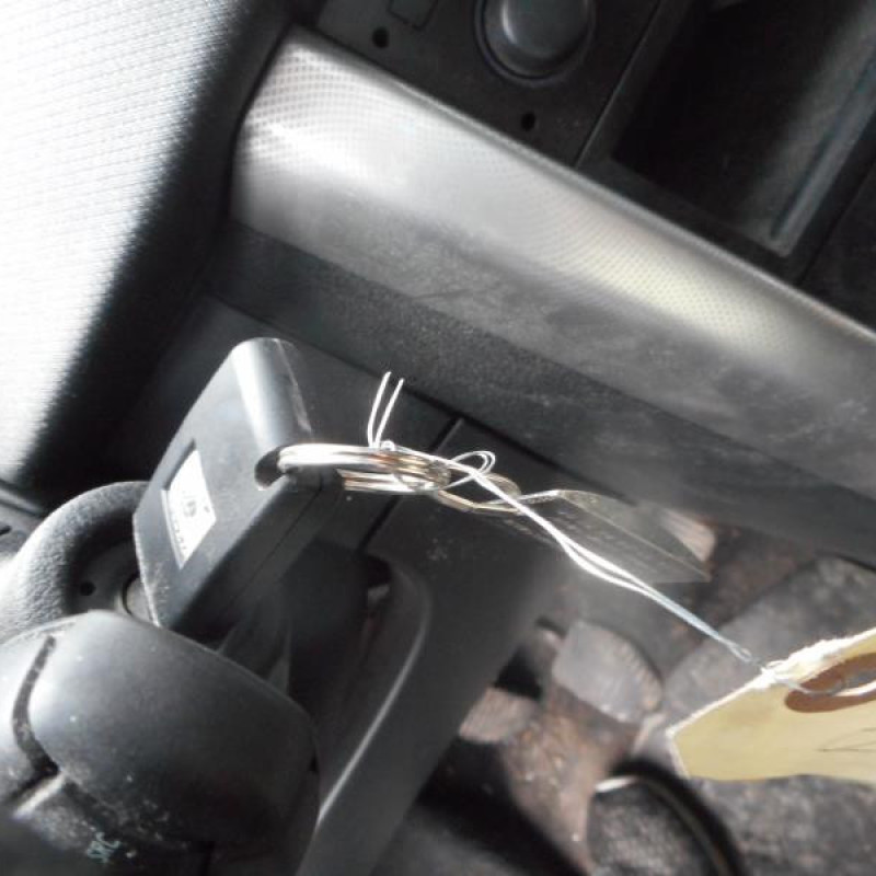 Porte avant droit PEUGEOT 207 Photo n°11