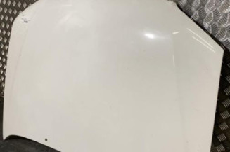 Capot PEUGEOT 106 Photo n°1