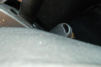 Porte arriere gauche VOLKSWAGEN GOLF 4