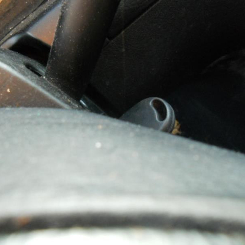 Porte arriere gauche VOLKSWAGEN GOLF 4 Photo n°11