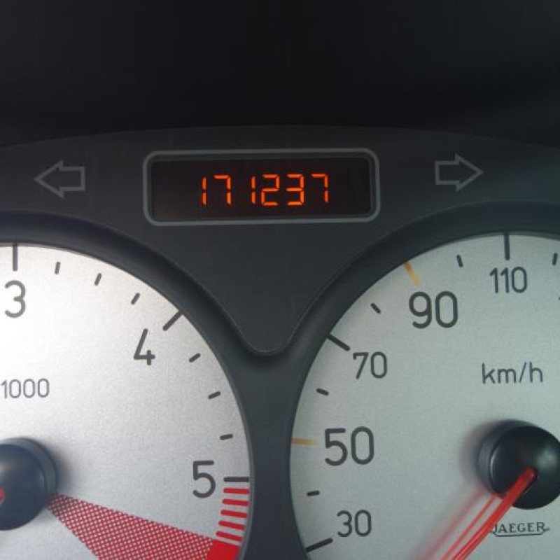 Malle/Hayon arriere PEUGEOT 206 Photo n°9