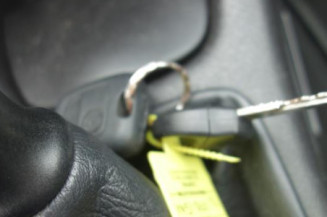 Malle/Hayon arriere PEUGEOT 206