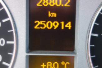 Porte arriere gauche MERCEDES CLASSE B 245