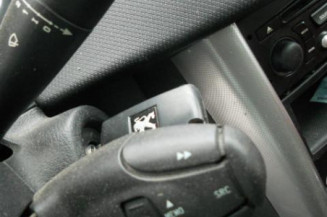 Malle/Hayon arriere PEUGEOT 207