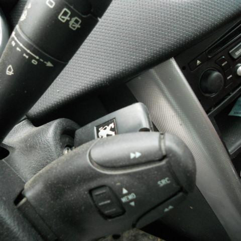 Malle/Hayon arriere PEUGEOT 207 Photo n°9