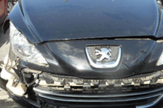 Malle/Hayon arriere PEUGEOT 308 1