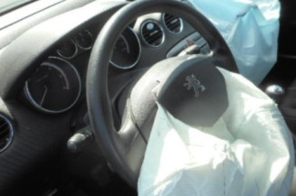 Malle/Hayon arriere PEUGEOT 308 1