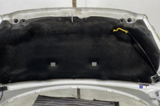 Capot PEUGEOT 308 1 Photo n°1