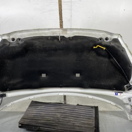 Capot PEUGEOT 308 1 Photo n°1