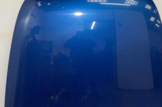 Capot PEUGEOT 607 Photo n°1