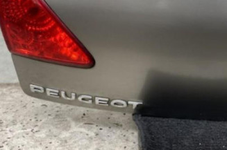 Malle/Hayon arriere PEUGEOT 3008 1