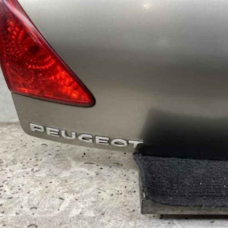 Malle/Hayon arriere PEUGEOT 3008 1 Photo n°8