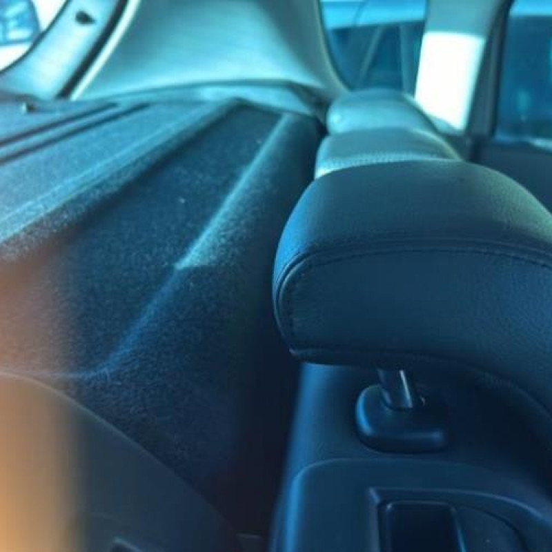 Malle/Hayon arriere PEUGEOT 3008 1 Photo n°18