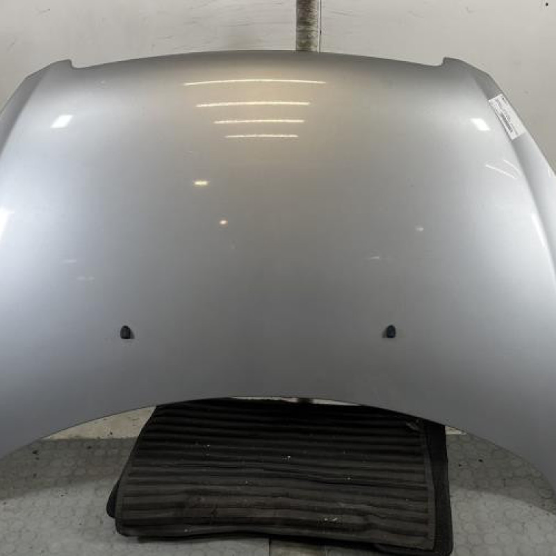 Capot PEUGEOT 307 Photo n°1