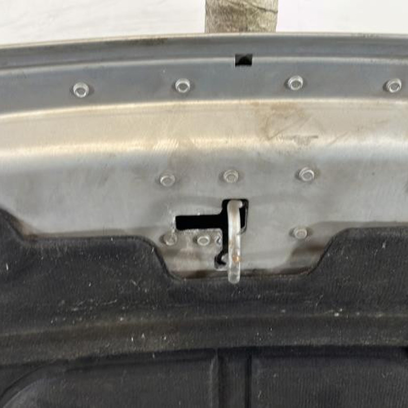 Capot PEUGEOT 307 Photo n°6