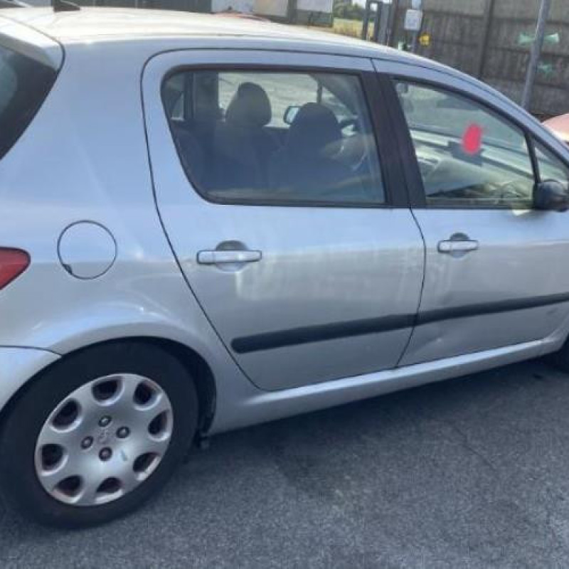 Custode avant droit (porte) PEUGEOT 307 Photo n°5