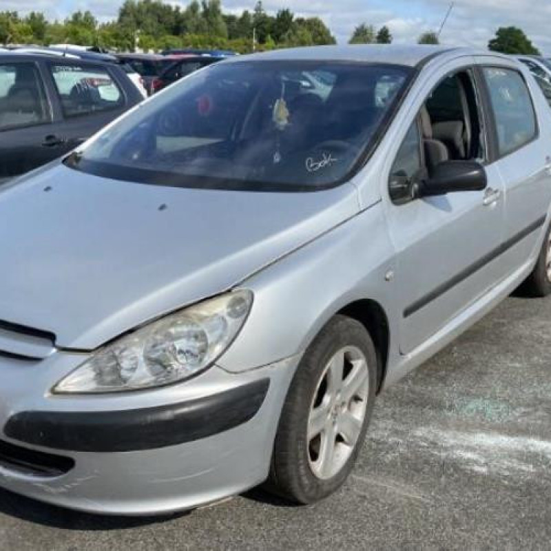 Custode avant droit (porte) PEUGEOT 307 Photo n°8