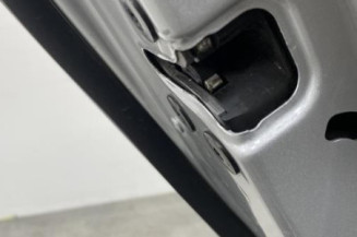 Porte arriere gauche RENAULT MEGANE 3 Photo n°1