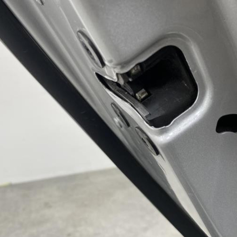 Porte arriere gauche RENAULT MEGANE 3 Photo n°1