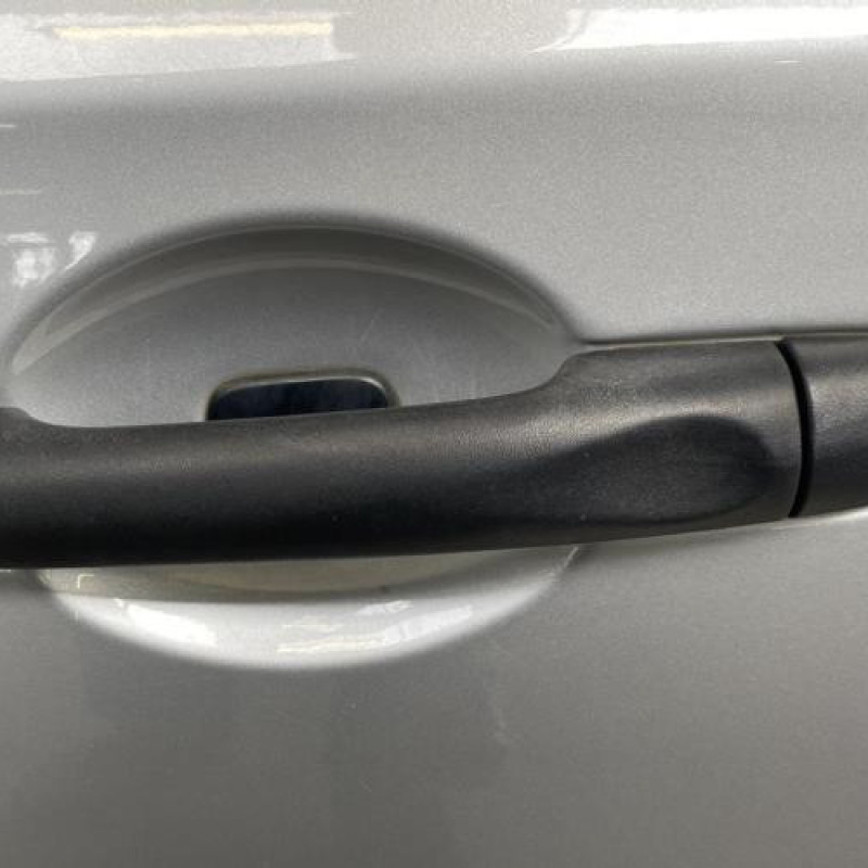 Porte arriere gauche RENAULT MEGANE 3 Photo n°2